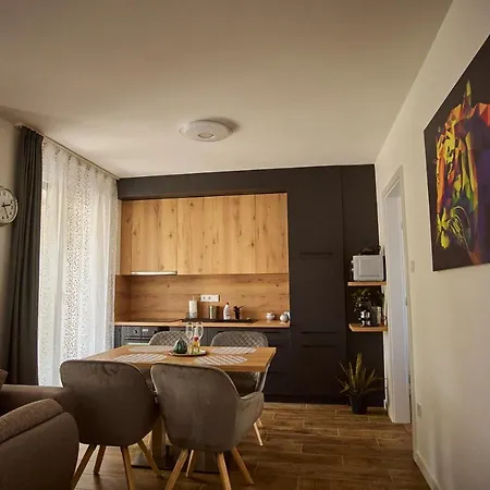 Starlight Silver - Exclusive Apartament Seghedin